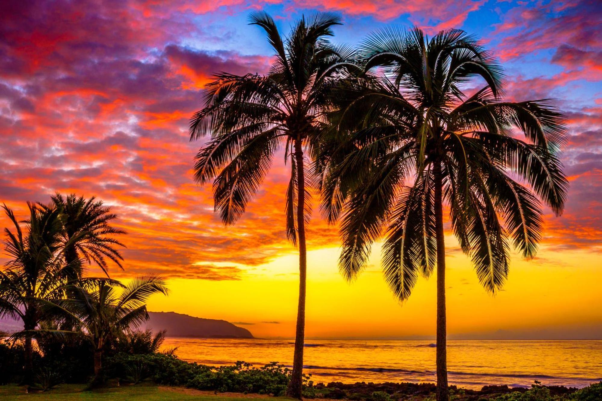 Paradise In North Shore Oahu Hawaii Holiday home Haleiwa