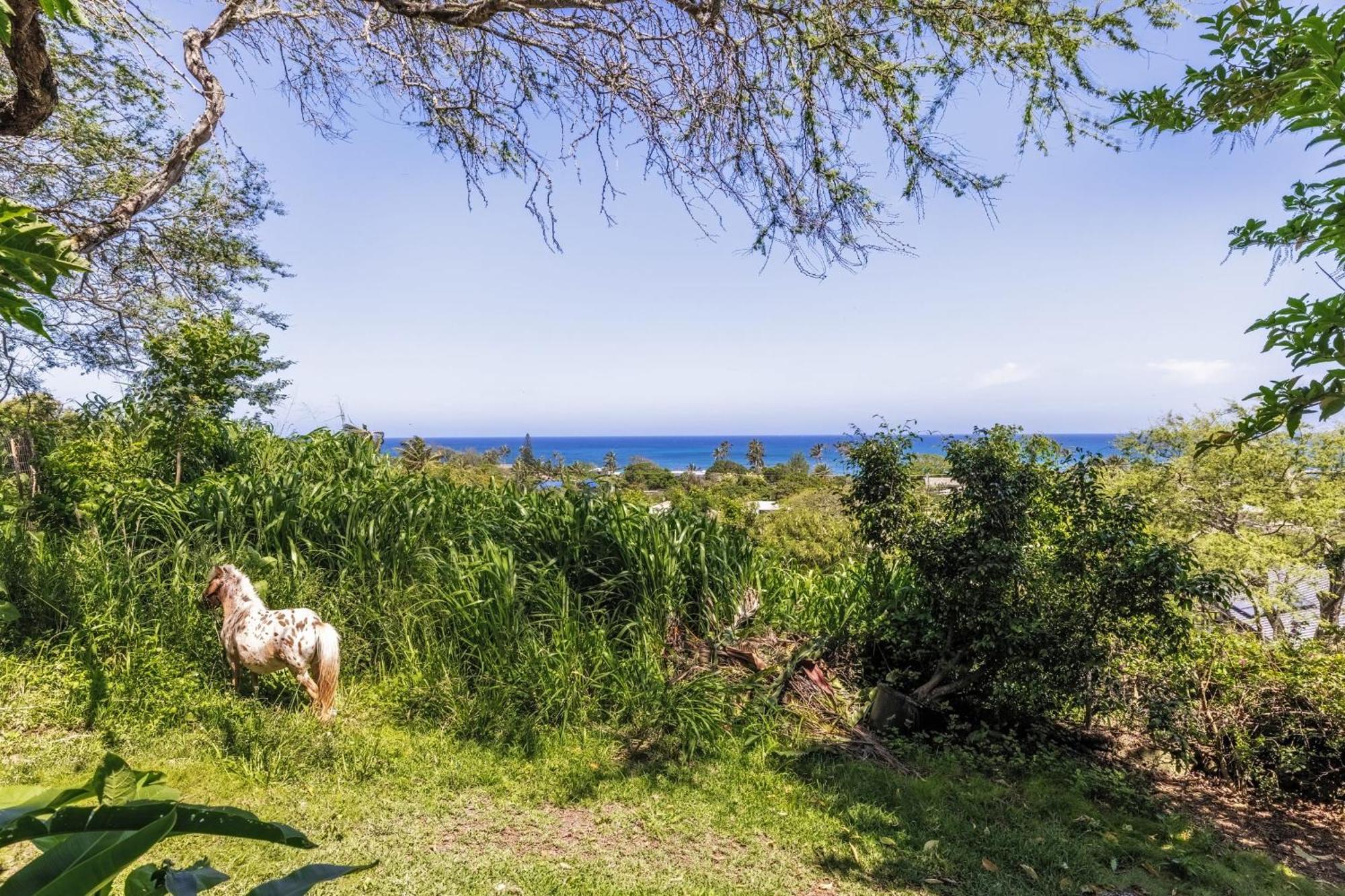 Holiday home Paradise In North Shore Oahu Hawaii